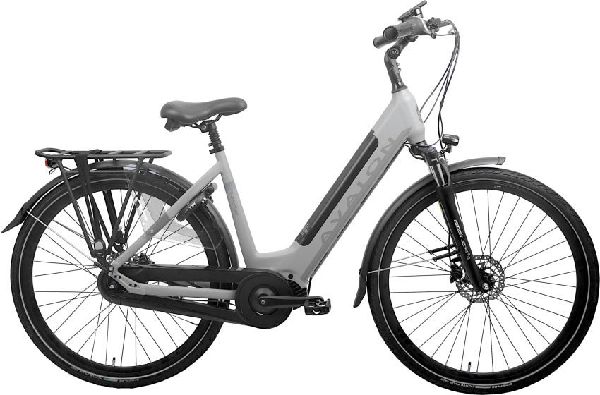 E-Motive 28 Inch 49 cm Dames 7V Hydraulische schijfrem Matgrijs