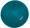 Avento fitness gymbal + pomp - ø 65cm - blauw