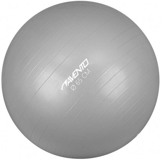 Avento fitness gymbal - ø 65 cm - zilver
