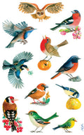 stickervel Vogels junior 7,6 x 12 cm papier 33-delig