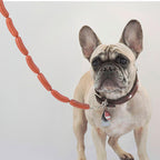hondenriem Hotdog 108 cm metaal/rubber bruin
