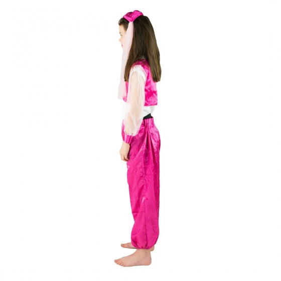 verkleedkostuum danseres meisjes roze 4-6 jaar