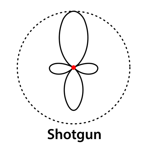 Boya Professionele Condensator Shotgun Richtmicrofoon BY-PVM1000L