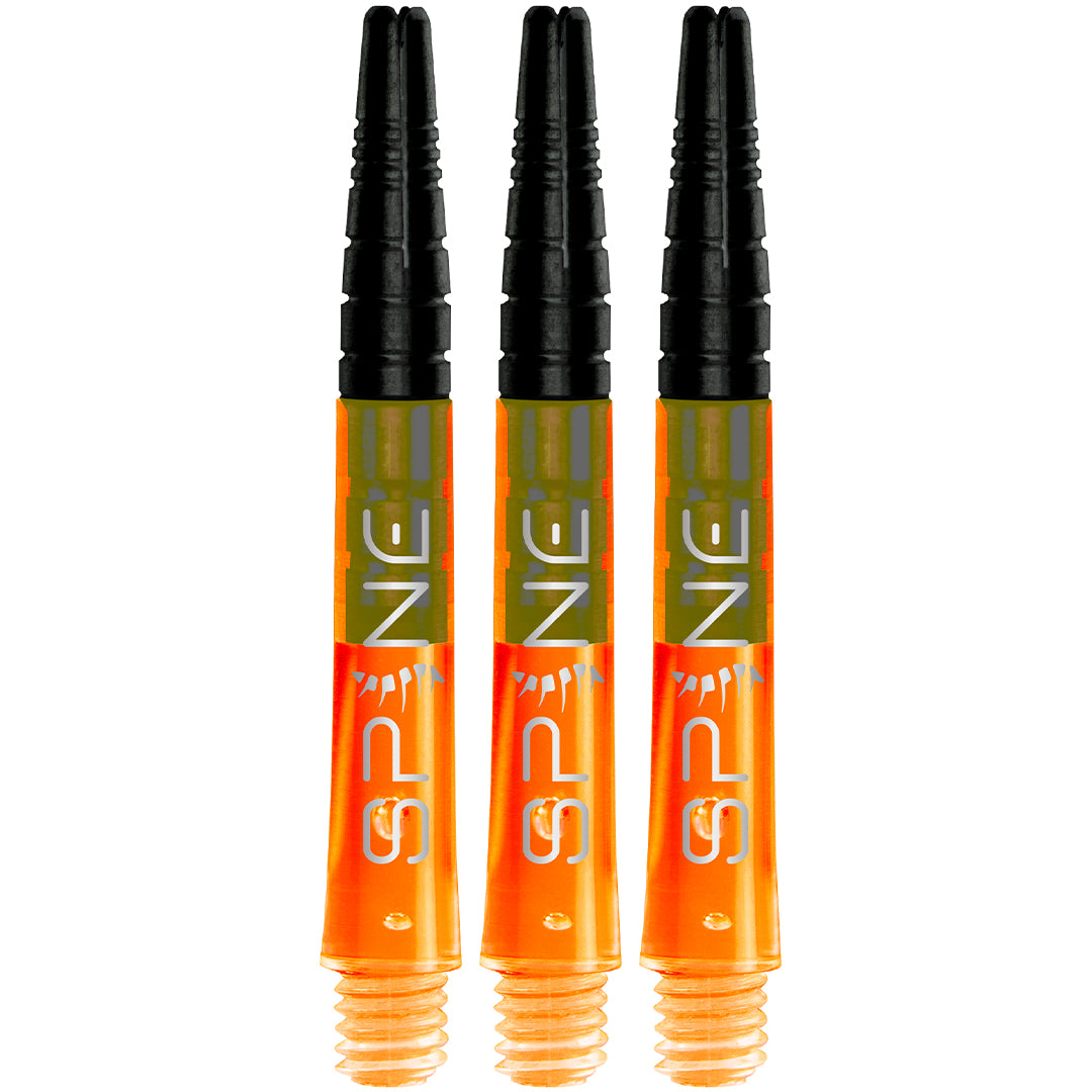 Bull's Spine Orange In Between