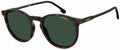 zonnebril 230/S unisex cat. 3 panto bruin