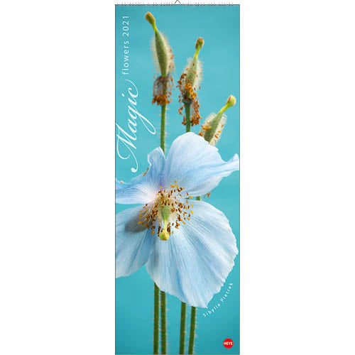 wandkalender Magic Flowers 2021 69 x 24 cm papier blauw