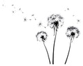 muursticker Dandelions 330 x 250 cm vinyl 17-delig