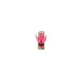 crussis bottleholder light red