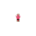crussis bottleholder light red