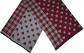 Cwi Sjaal Geruit dames 180 x 63 cm polyester/viscose rood