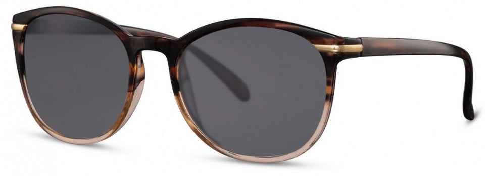 zonnebril vierkant unisex cat. 3 bruin/goud/zwart
