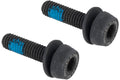 Campagnolo mounting bolts for disc brakes (pack of 2) | 19 mm