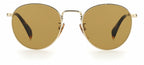 David beckham Zonnebril 1005/S heren cat.3 rond RVS goud/bruin
