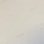 DNP Standaard Papier DSRX1HS-4X6 2 Rol � 700 St. 10x15 voor DS-RX1HS