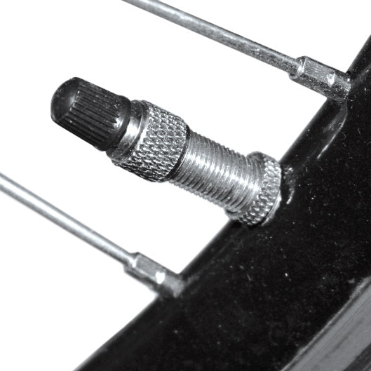 kogelventielen staal zwart/zilver 4 stuks