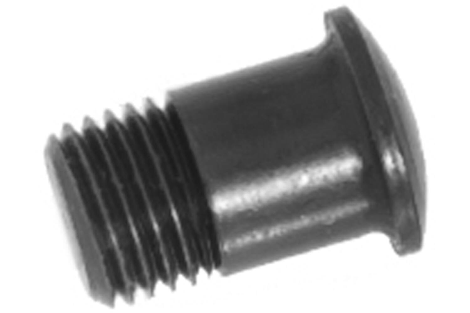 Campagnolo - spaaknippel schroef magneet voor eurus 2006