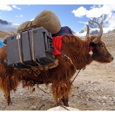 Explorer Cases 10840 Koffer Zwart