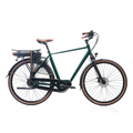 DeLuxe E-bike N8 groen H54