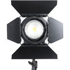 Falcon Eyes 5600K LED Spot Lamp Dimbaar CLL-3000R op 230V