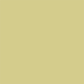 Falcon Eyes Achtergrondpapier 0013 Tropical Green 2,75 x 11 m