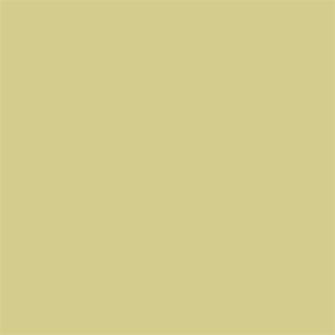 Falcon Eyes Achtergrondpapier 0013 Tropical Green 2,75 x 11 m