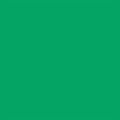 Falcon Eyes Achtergrondpapier 46 Chroma Green 1,35x11 m