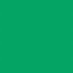 Falcon Eyes Achtergrondpapier 46 Chroma Green 2,18 x 11 m