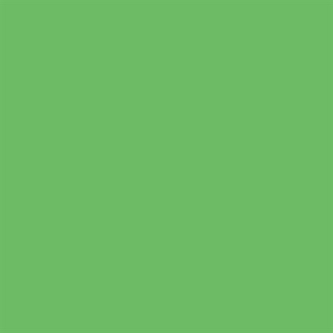 Falcon Eyes Achtergrondpapier 73 Summer Green 1,35x11 m