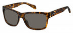 zonnebril FOS3097/S heren bruin havana/ grijs