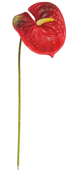 kunstbloem anthurium 62 cm rood