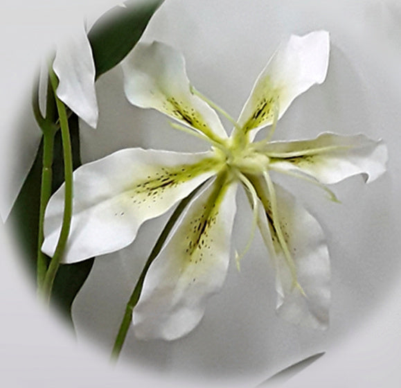 kunstbloem Vara Gloriosa 18 x 18 x 76 cm wit/geel