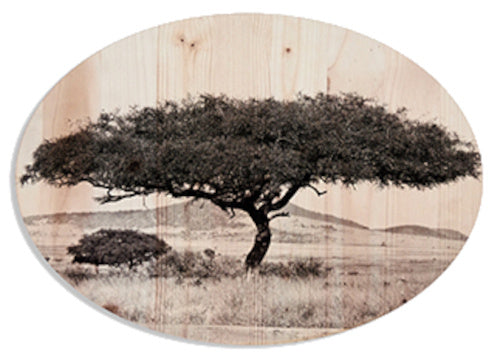 schilderij Boom 50 x 70 cm hout naturel/zwart