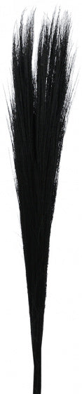 droogbloemen Broom 80 cm zwart