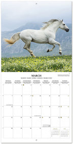 wandkalender 2022 Horses 30 x 30 cm papier groen