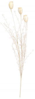 winterboeket klaproos open 55 x 8 cm crème