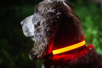 halsband led nylon roze maat S/M
