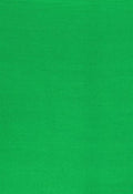 Linkstar Achtergronddoek AD-10 2,9x5 m Chroma Groen Uitwasbaar