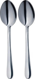 lepels RVS zilver 2-delig