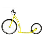 mibo universe yellow