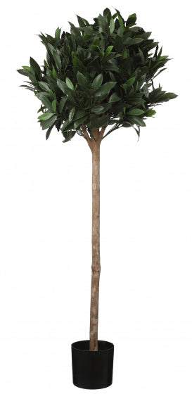 kunstplant Laurier 120 x 40 cm groen