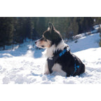 neewa - dog harnass - size m