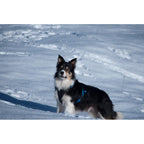 neewa - dog harnass - size xl