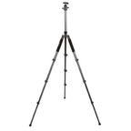 Nest Statief NT-264K + Balhoofd