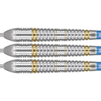 Target Phil Taylor Brass 22g