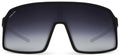 zonnebril Aventador gepolariseerd Cat. 4 nylon zwart/zwart