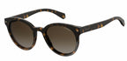 zonnebril 6043/S 086/LA dames gradient havana/bruin