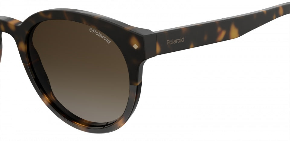 zonnebril 6043/S 086/LA dames gradient havana/bruin