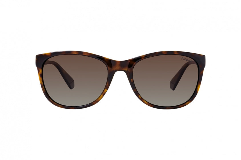 zonnebril PLD 4099/S 086/LA 55/19/145 mm zwart/bruin