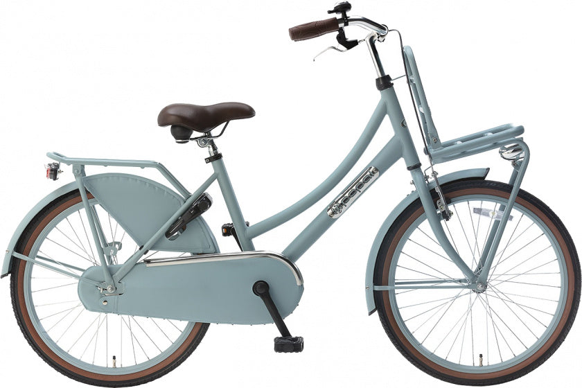 popal | meisjesfiets | daily dutch basic 22 | staal | blauw
