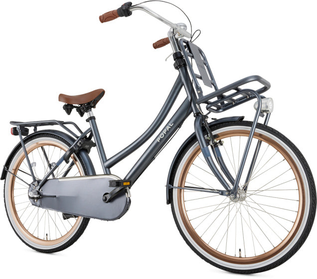 Popal Meisjesfiets daily dutch basic+ 24 staal k186